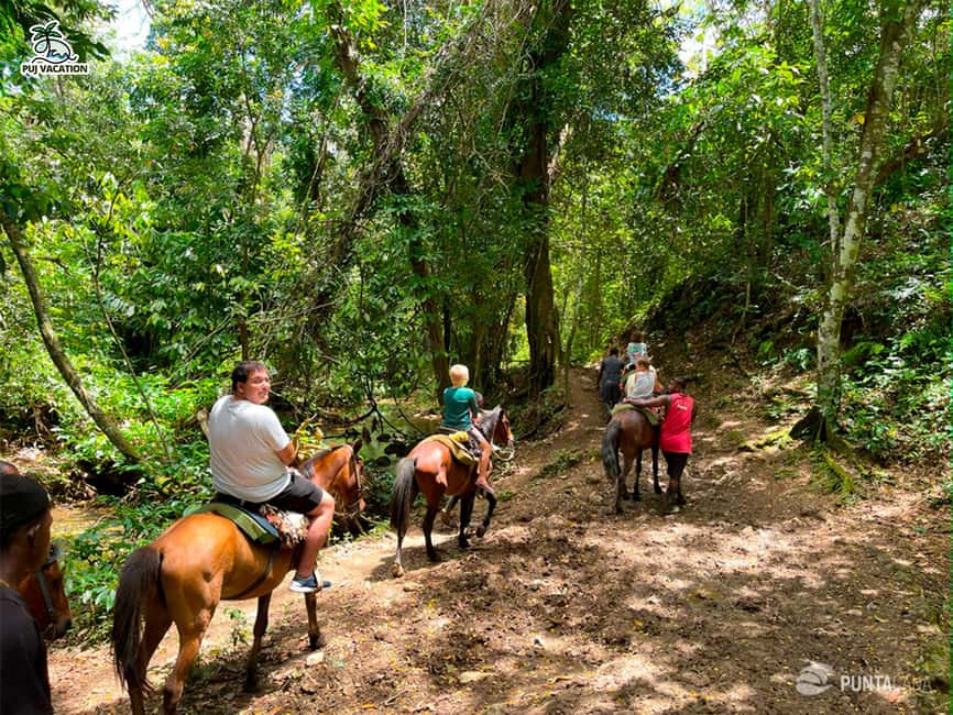 Punta Cana: Samana safari between waterfalls and beaches - El Limón waterfall: the walk, the views, and the optional horse ride