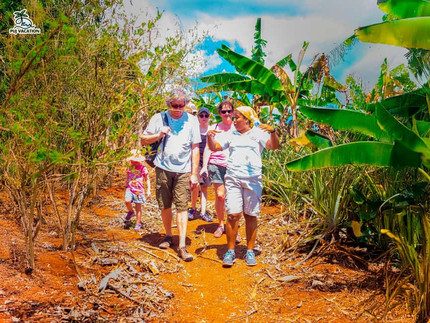 Punta Cana: Samana safari between waterfalls and beaches - On the water: catamaran time to the Samana Peninsula