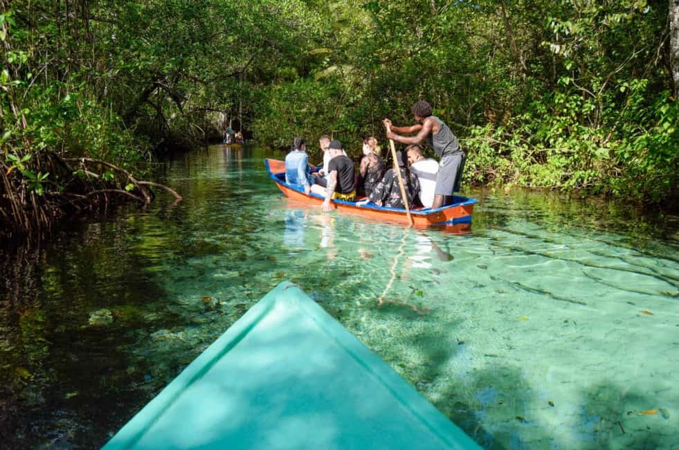 Punta Cana: Samaná Whale Watching and El Limón Day Tour - Key Highlights You’ll Care About
