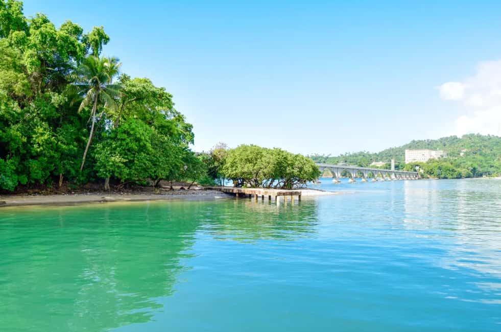 Punta Cana: Samaná Whale Watching and El Limón Day Tour - From Punta Cana To La Cañita: The Ride That Sets the Tone