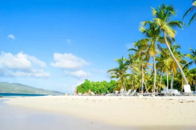 Punta Cana: Samaná Whale Watching and El Limón Day Tour - Catamaran Time and Whale Watching: What This Part Really Means