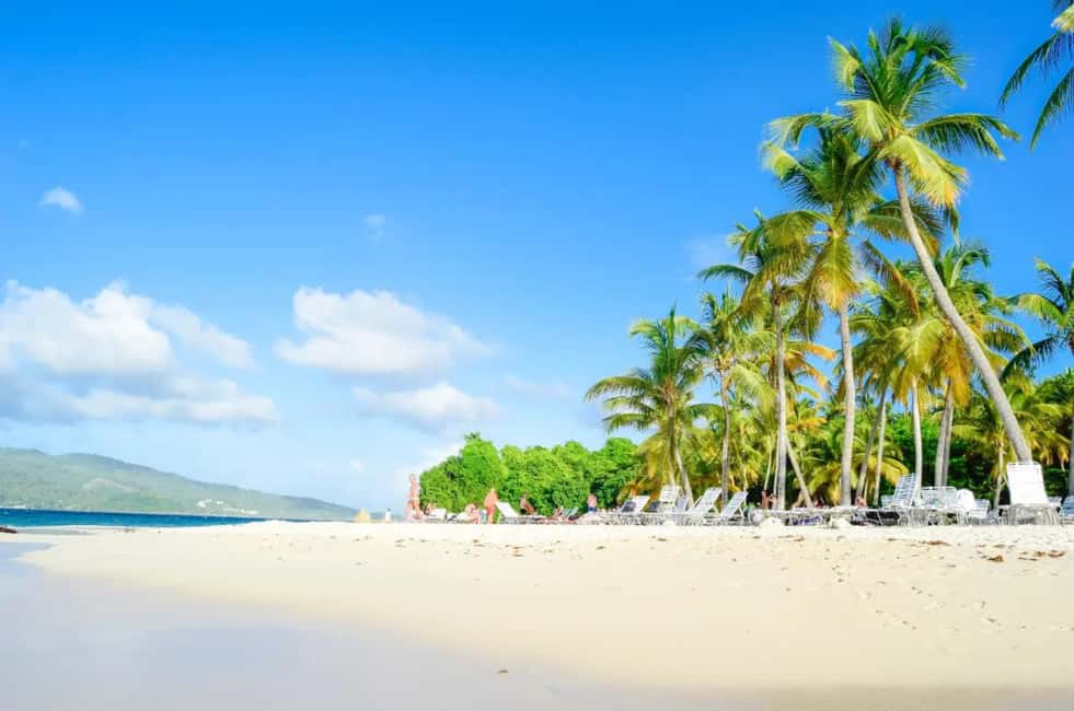 Punta Cana: Samaná Whale Watching and El Limón Day Tour - Catamaran Time and Whale Watching: What This Part Really Means