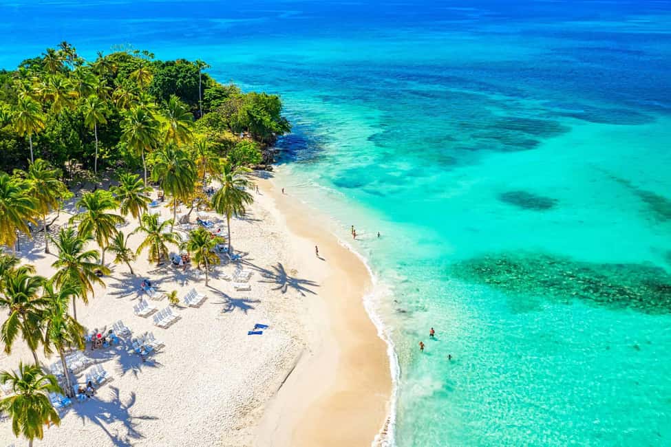 Punta Cana: Samaná Whale Watching, Bacardi & Limon Falls - From Punta Cana to Samaná: the early start that sets the tone