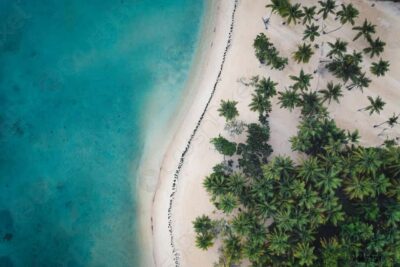 Punta Cana: Samana Whale Watching Cruise - From your Punta Cana hotel to Sabana de La Mar Port: build in buffer time