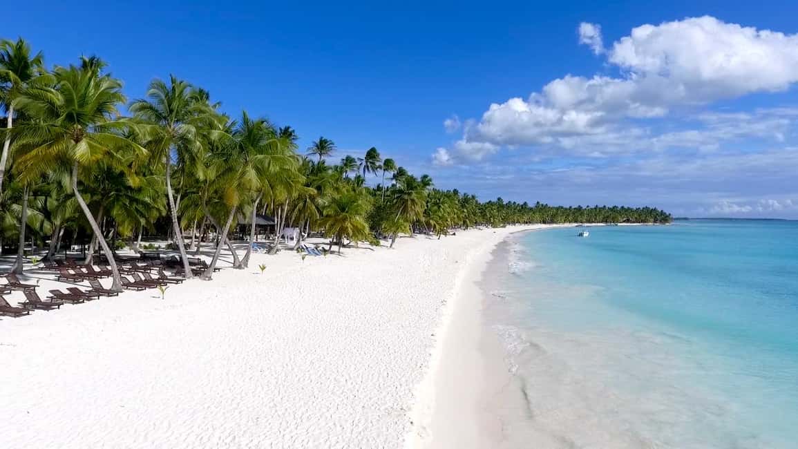 Punta Cana: Saona Islan Full Day With Catamaran and buffet - Who this Saona day trip fits best