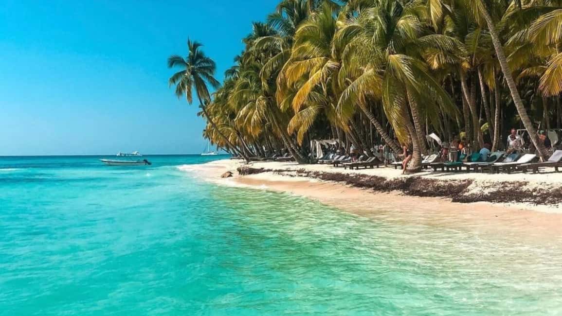Punta Cana: Saona Island Catamaran Food Drink With Transport - Price and Value: Is $72 Worth It?