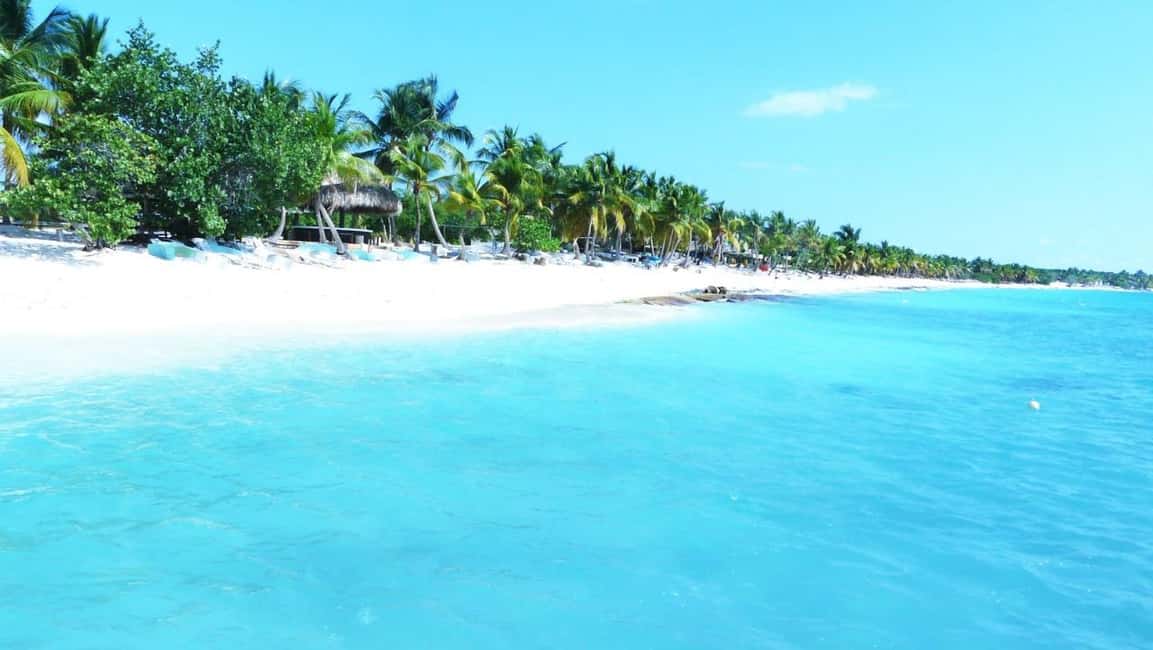 Punta Cana: Saona Island Catamaran Tour & Buffet Lunch - Getting picked up (and back): the part that can make or break the day