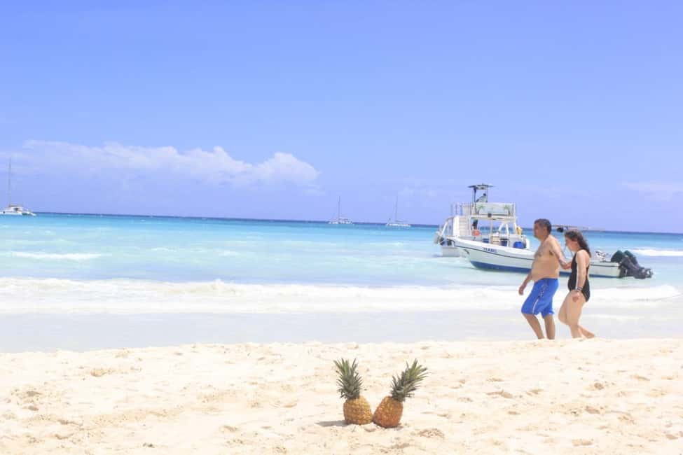 Punta Cana: Saona Island Catamaran Tour & Buffet Lunch - The Saona Island beach block: swimming, snorkeling, and shade