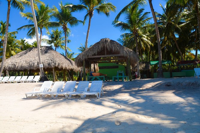 Punta Cana : Saona Island Day Tour - Playa Palmilla Natural Pool: Shallow-Water Fun and the Coral Terrace View
