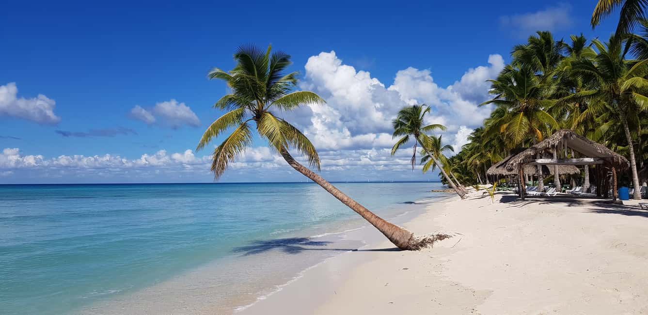 Punta Cana: Saona Island Day Trip - Punta Cana–Saona: What You’ll Like and What to Watch For
