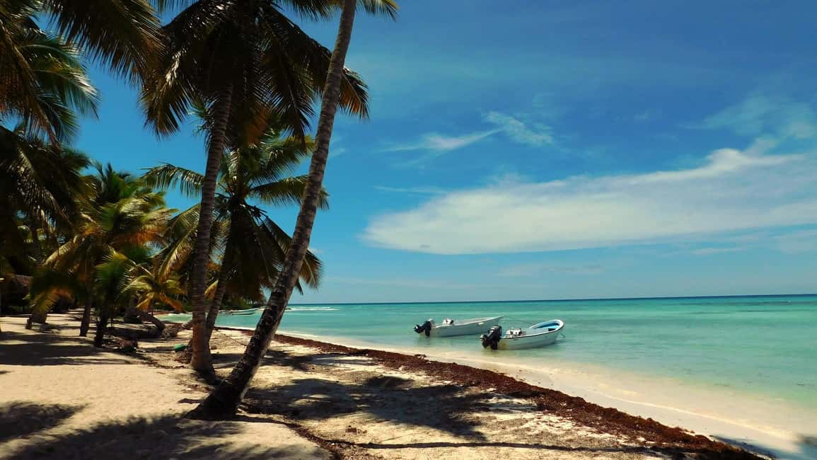 Punta Cana: Saona Island Day Trip - Getting There: Transfers From Your Hotel Can Make or Break the Day