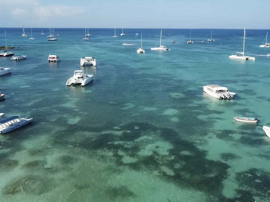 Punta Cana: Saona Island Day Trip with Blue Lagoon & Lunch - Dominican buffet lunch: what you’ll eat, and how to avoid wasting it