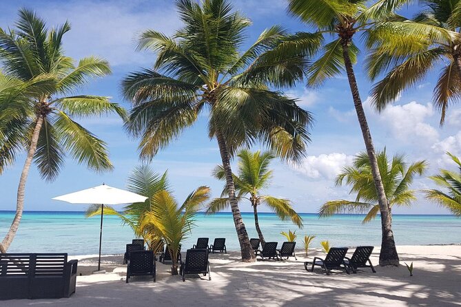 Punta Cana: Saona Island Food And Drink Catamaran Hotel Pickup - Price and what you actually get for $68