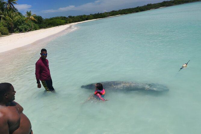 Punta Cana: Saona Island Food And Drink Catamaran Hotel Pickup - Group size reality: private feeling, shared logistics