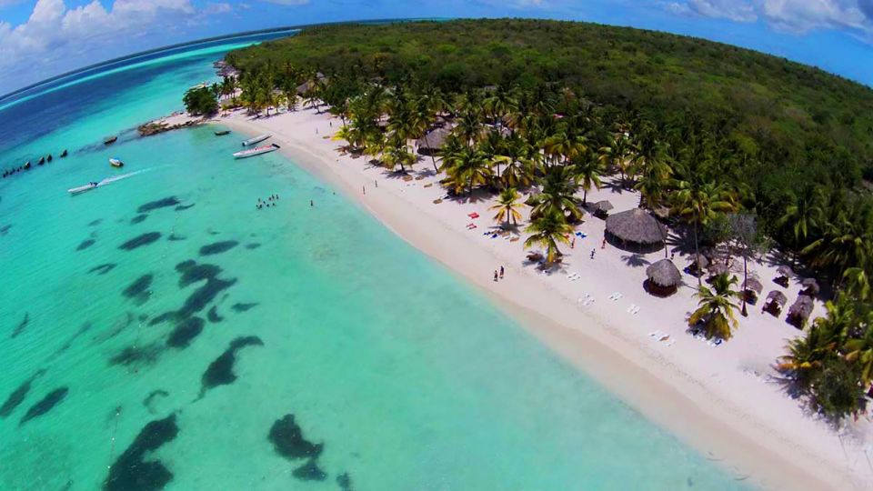 Punta Cana: Saona Island Full-Day All-Inclusive Boat Tour - Dominican lunch and open bar: what you’ll actually taste and drink