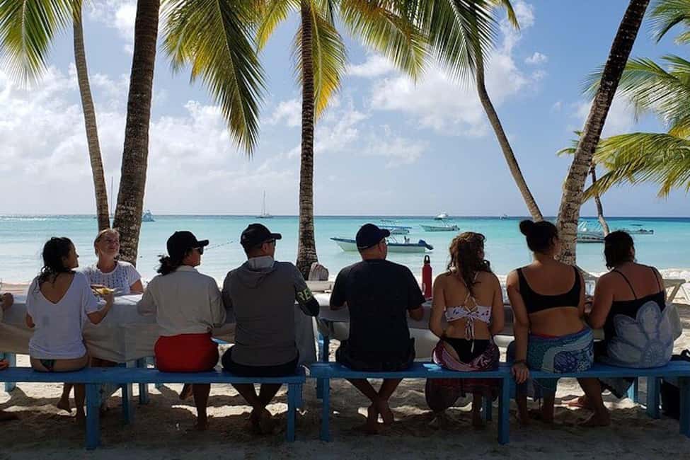 Punta Cana: Saona Island Full-Day Group Tour - Pickup Areas, Van Time, and the Real Pace of a 9-Hour Day