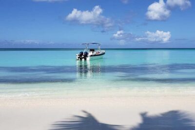Punta Cana: Saona Island Full-Day Group Tour - Mano Juan Turtle Conservation: What You Might See at the Hatchery