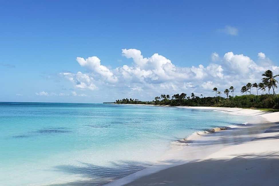 Punta Cana: Saona Island Full-Day Group Tour - Abanico Beach Buffet Lunch on Saona: Food and Drinks That Keep You Smiling
