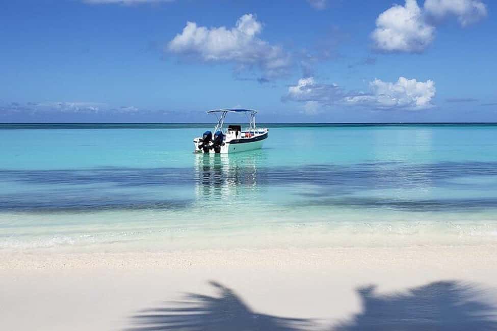 Punta Cana: Saona Island Full-Day Group Tour - Mano Juan Turtle Conservation: What You Might See at the Hatchery