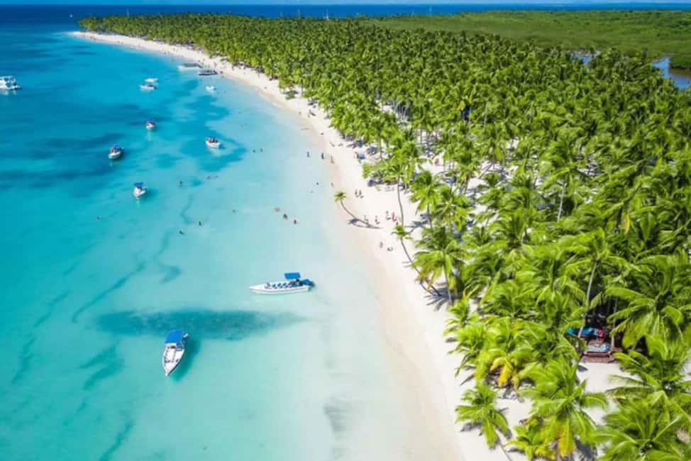 Punta Cana: Saona Island Full-Day Open Bar, Lunch & Transfer - Who this tour fits, and who should skip it