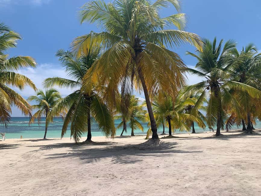 Punta Cana: Saona Island Premium 3 beaches - Nine hours on Saona: the real value in the schedule