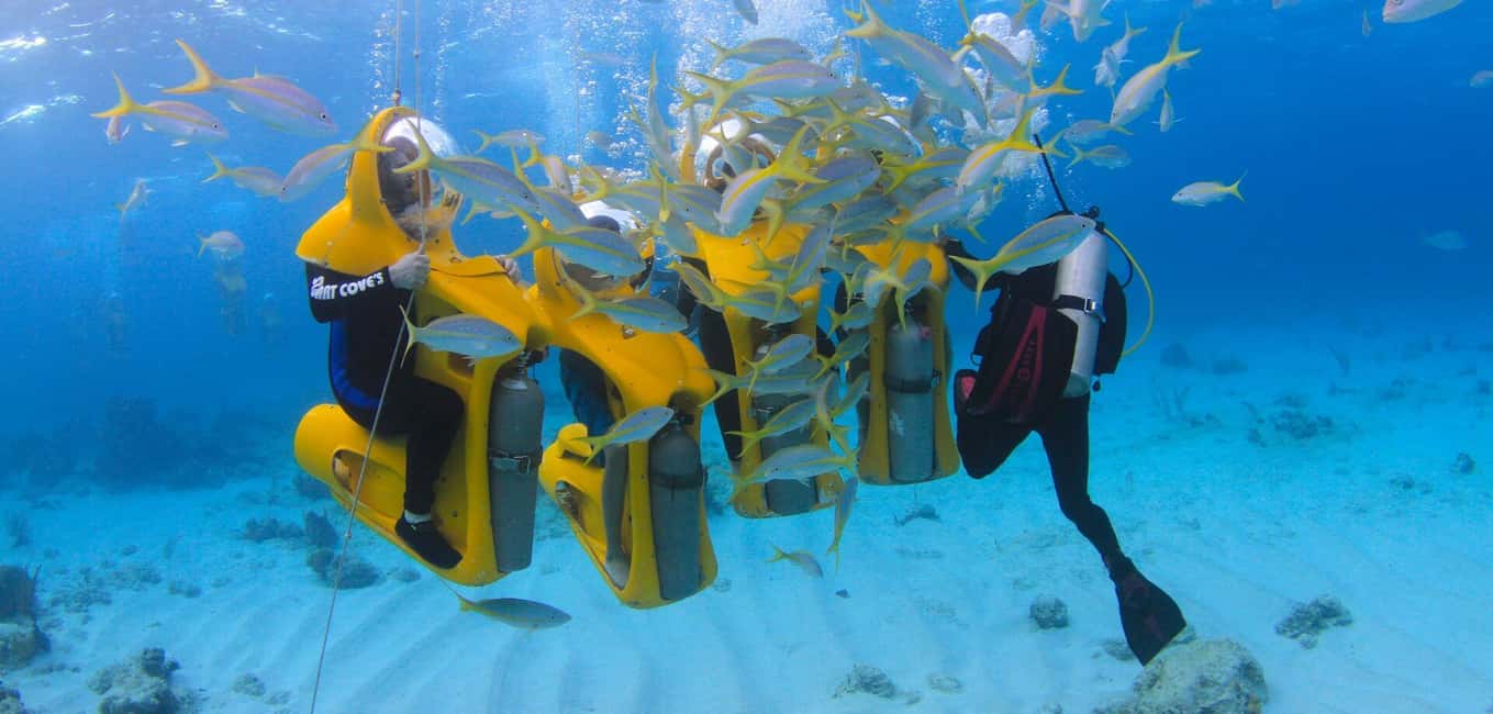 Punta Cana: Scoba Doo Discover the Underwater Wonders - Scobadoo Punta Cana: What This Trip Actually Feels Like