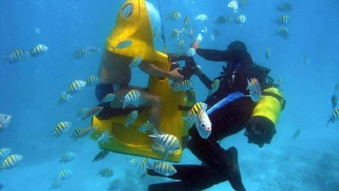 Punta Cana: Scoba Doo Discover the Underwater Wonders - Who Should Book This Snorkel Experience in Punta Cana