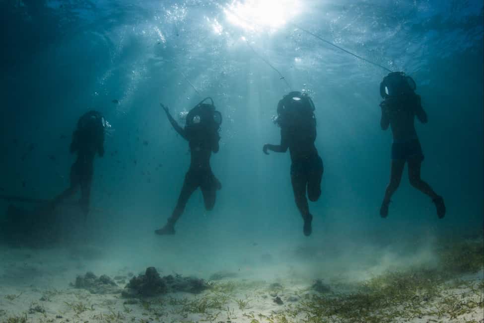 Punta Cana: Scoba Doo Discover the Underwater Wonders - What You’ll See Under the Waterline (Corals and Fish)