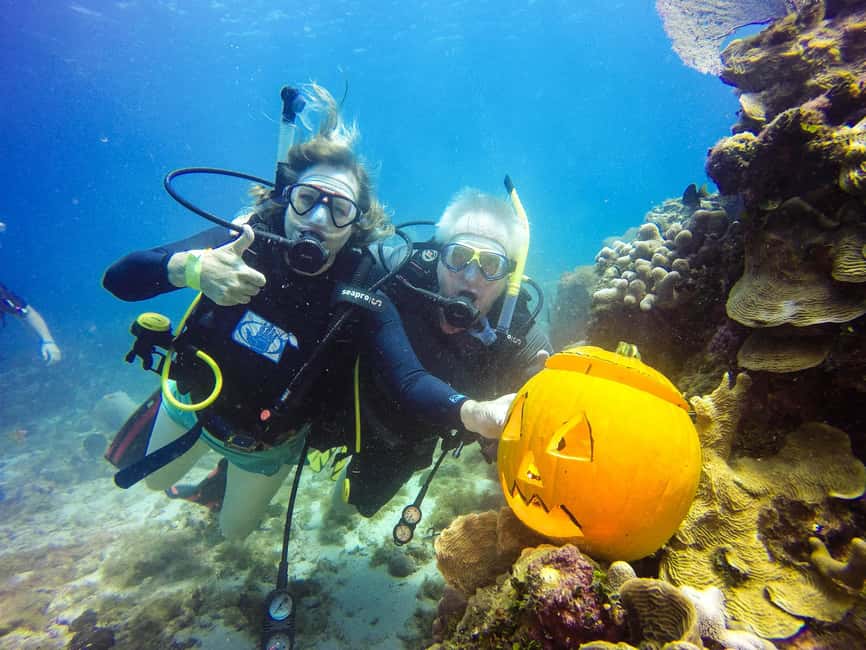 Punta Cana: Scuba Diving Adventure to Catalina Island - Catalina Island from La Romana: what this 10-hour scuba day gives you