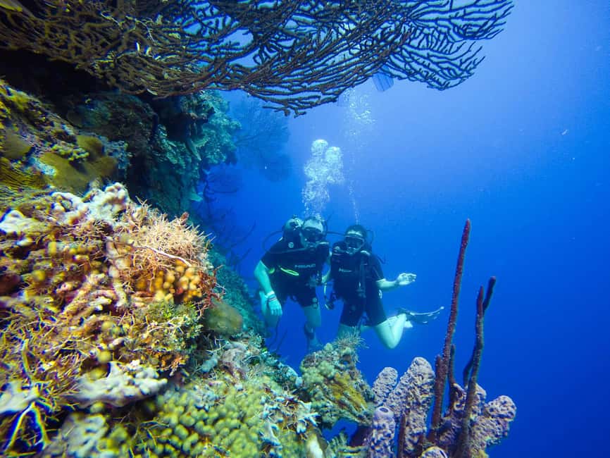 Punta Cana: Scuba Diving Adventure to Catalina Island - Back on the boat and on Catalina beach: swimming, snorkeling gear, and a Dominican feast