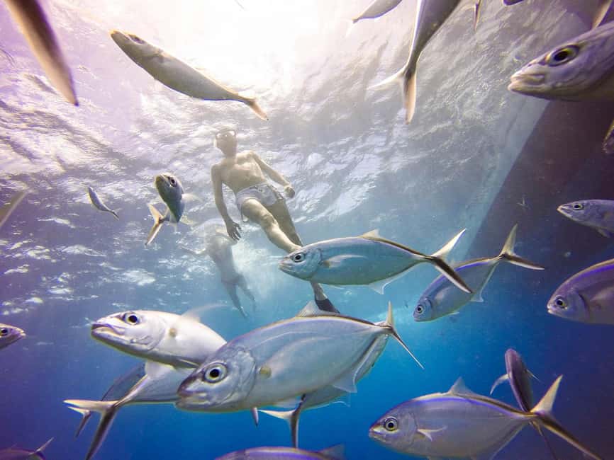 Punta Cana: Scuba Diving Adventure to Catalina Island - Should you book this Catalina Island scuba day from Punta Cana?