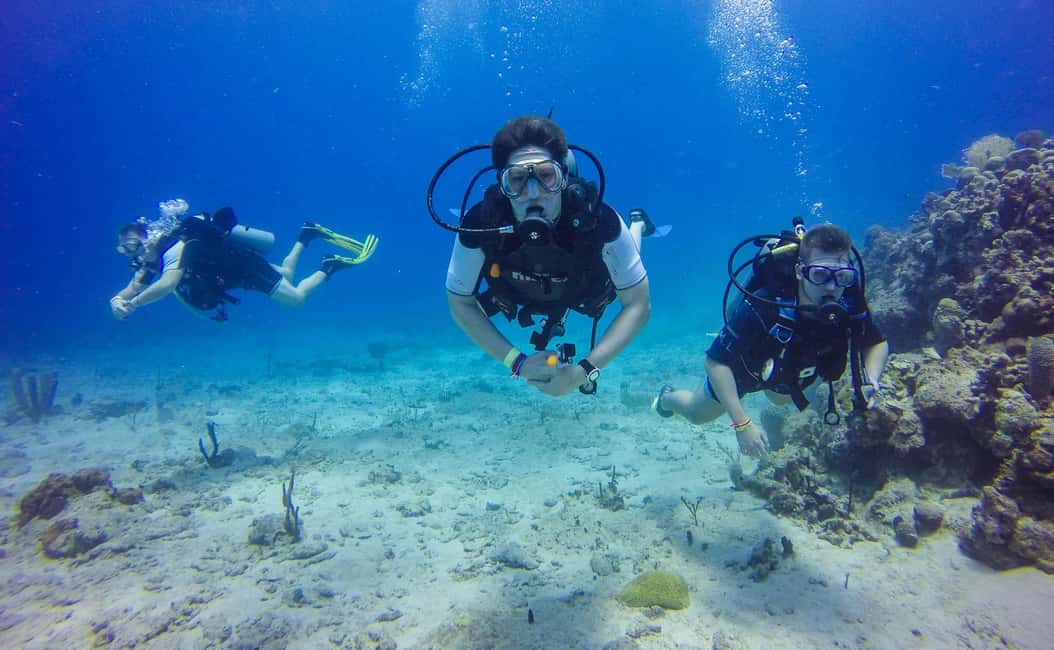 Punta Cana: Scuba Diving Adventure to Catalina Island - Getting from Punta Cana to the marina: the ride is part of the deal