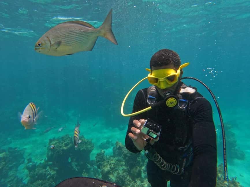 Punta Cana: Scuba Doo Adventure with Round-Trip Transfer - Equipment and Safety: What’s Included and Why It Matters