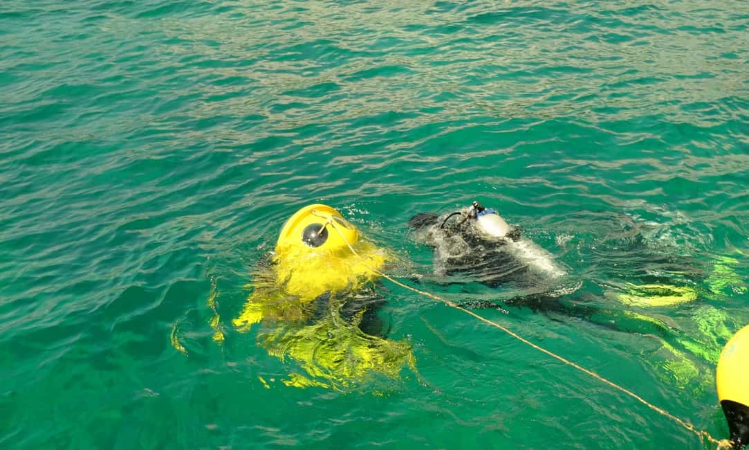 Punta Cana: Scuba Doo Adventure with Round-Trip Transfer - Transportation and Timing: The Part That Can Make or Break the Day