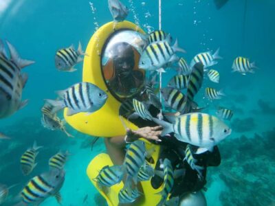Punta Cana: Scubadoo Ocean Exploration Diving Adventure - Getting There: Cabeza de Toro Pickup and Coast Timing