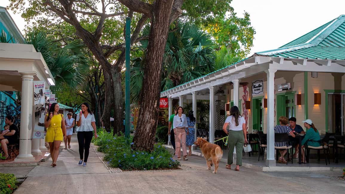 Punta Cana: Shopping Tour with Hotel Pickup and Drop-Off - Hotel Pickup to Plaza: How the 4 Hours Really Flows