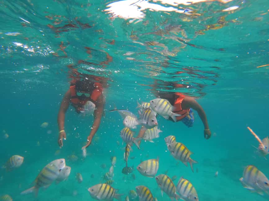 Punta Cana: Speed Boat Ride & Snorkel Adventure - Price and Value: Is $65 Worth It?