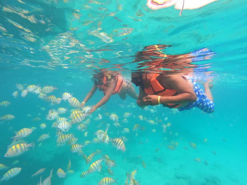 Punta Cana: Speed Boat Ride & Snorkel Adventure - Who Should Book (and Who Should Skip)
