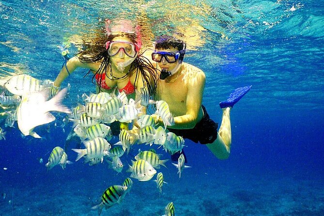 Punta Cana Speed Boat Tour and Snorkeling - Playa Los Corales: speed, views, and reef time