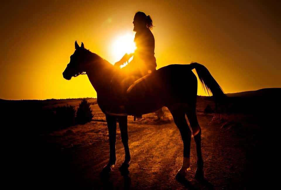 Punta Cana: Sunset Horseback Ride in Macao Beach and Forest - Macao Beach at Sunset: The Part You Came For