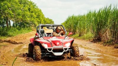 Punta Cana: Tour Buggy Off-Road Adventure Macao Hotel Pickup - Ranch Stop and Tastings: Cocoa, Coffee, Tobacco, and Mamajuana