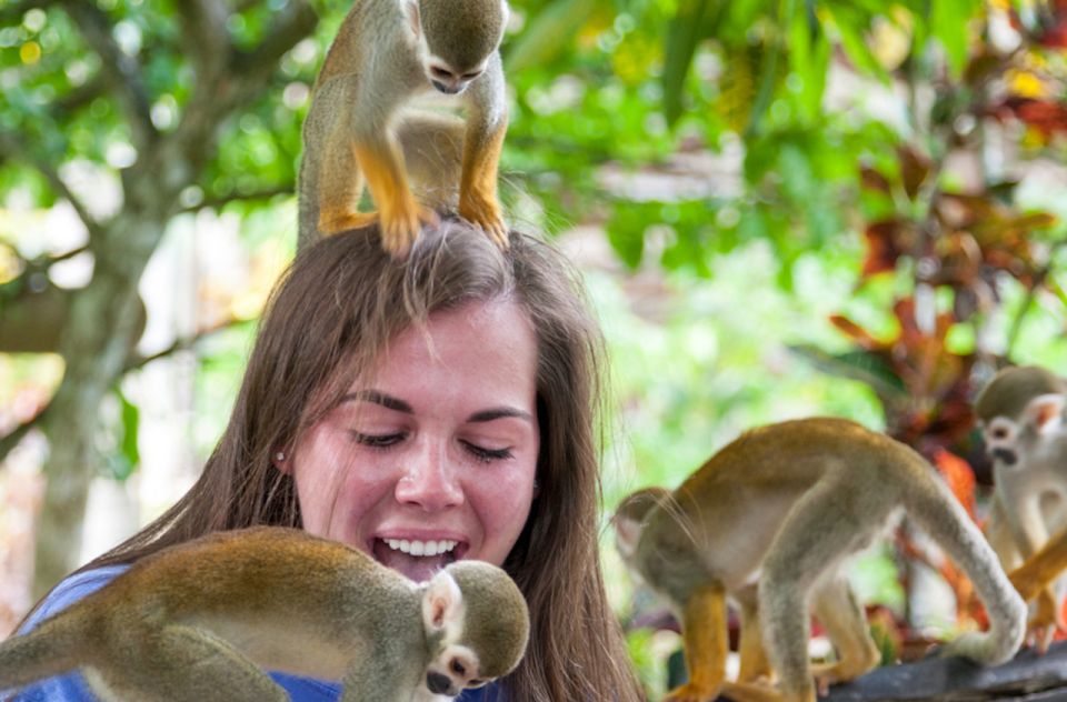 Punta Cana: Triple Jungle Adventure Park Tour with Tastings - Price and Value: What Your $209 Is Paying For (and What Can Cost Extra)