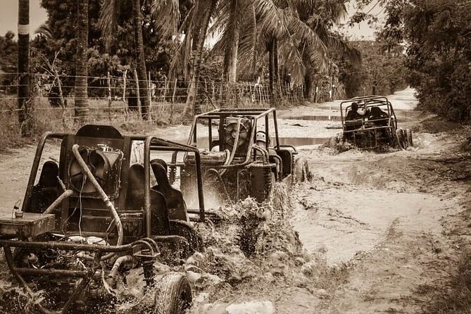 Punta Cana: Ultimate Dune Buggy Experience in Macao Beach Caves - Macao Beach Caves: The Swim Stop That Changes the Mood