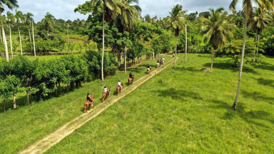 Punta Cana: Xploration Animal Park Bus Tour with Encounters - Price and value: is $90 per person worth it?