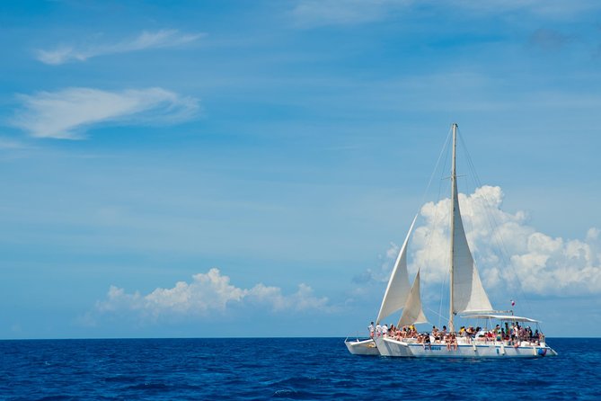 Punta Cana:Exclusive Private Tours for Groups of Up to 7 People - Getting to the Island: Boat Ride, Timing, and Expectations