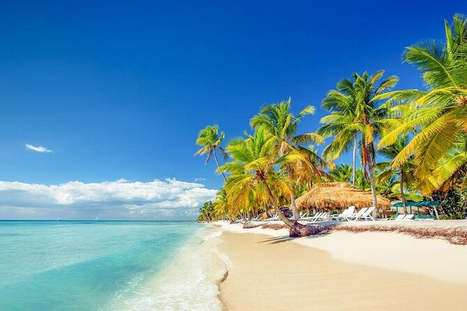 Punta Cana:Exclusive Private Tours for Groups of Up to 7 People - Natural Pool Stop: A Brief Wow Moment Built Into the Day