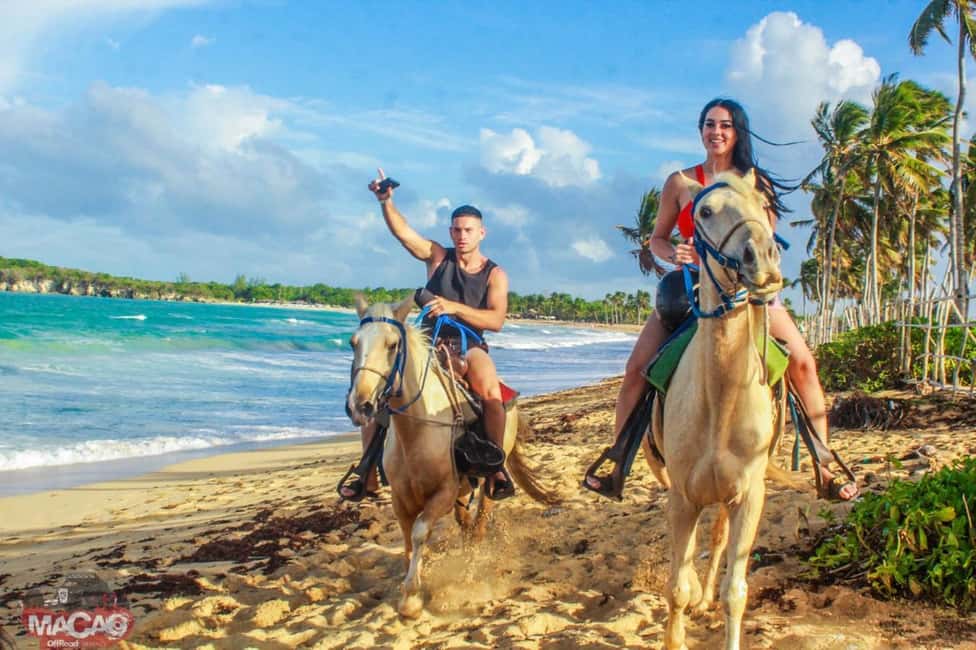 Punta Cana’s Best Sunset Horse Ride - Price and Value: Why This $39 Tour Can Be a Good Deal