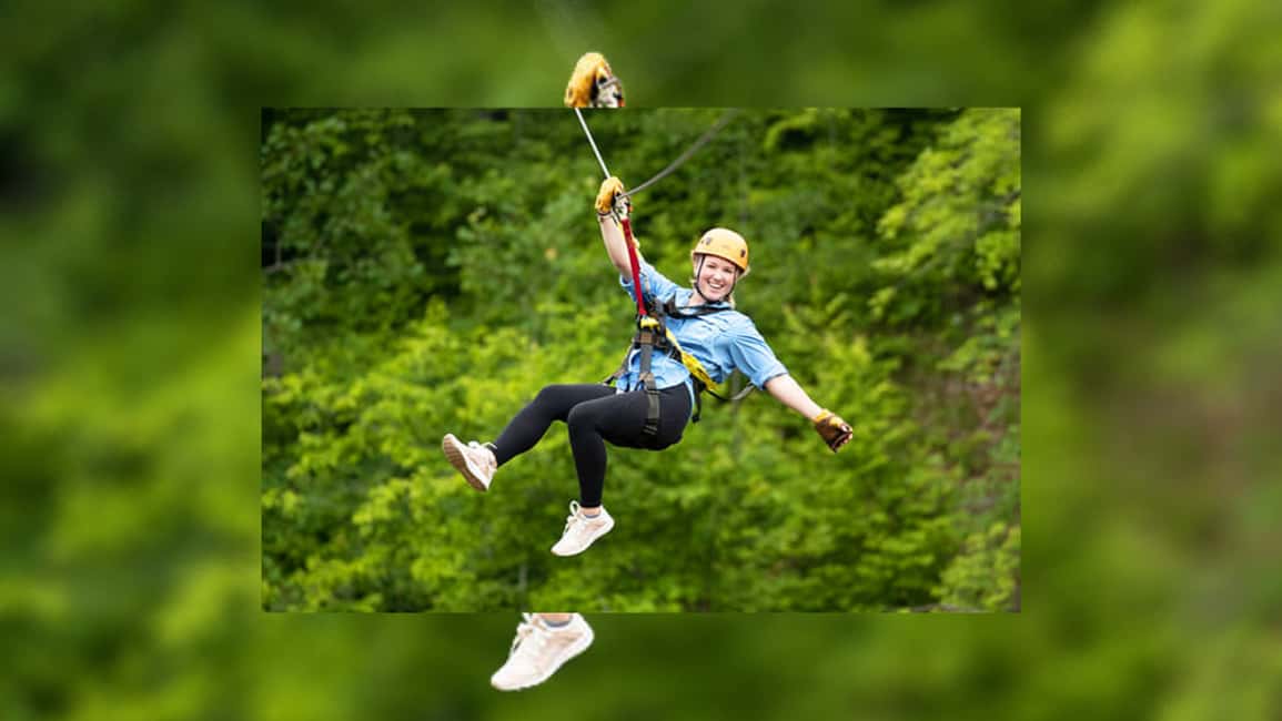 Rainforest Ziplining Adventure - Before You Fly: Safety Briefing and the Full Check You’ll Appreciate