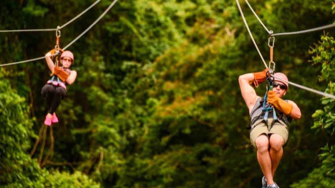 Rainforest Ziplining Adventure - Price and Value: What $80 Buys (Hotel Pickup Included)