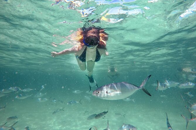 Reef Explorer Half Day Trip - Key Highlights I’d Focus On